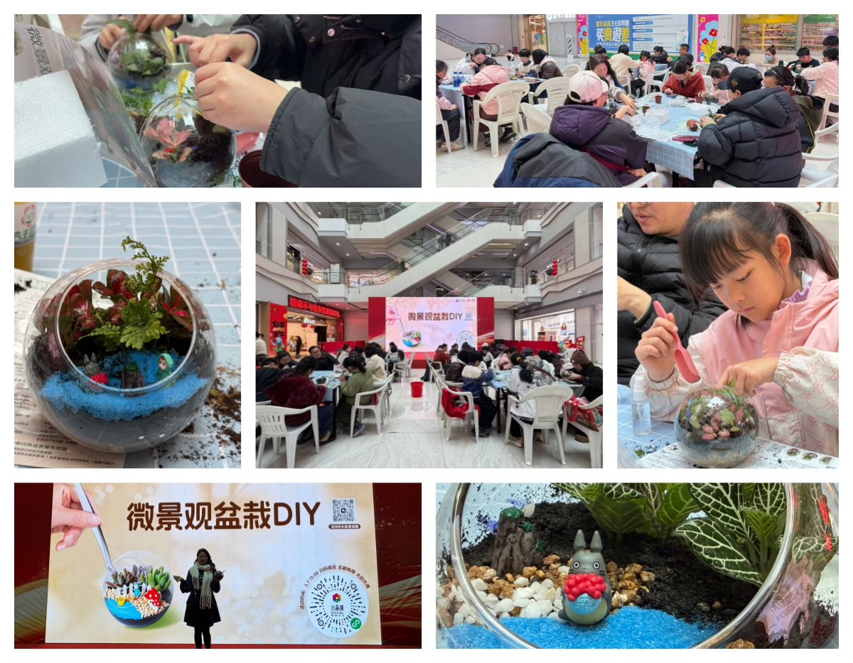 巧手造微景，指尖绽春意——水晶城微景观盆栽 DIY 活动圆满进行